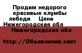 Продам недорого красивые клумбы,лебеди. › Цена ­ 250 - Нижегородская обл.  »    . Нижегородская обл.